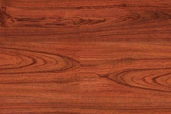 Sàn gỗ Janmi T11